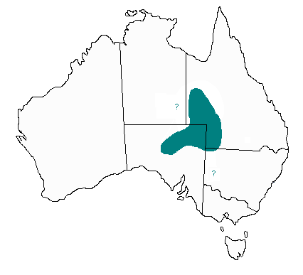 Oxyuranus microlepidotus distribution