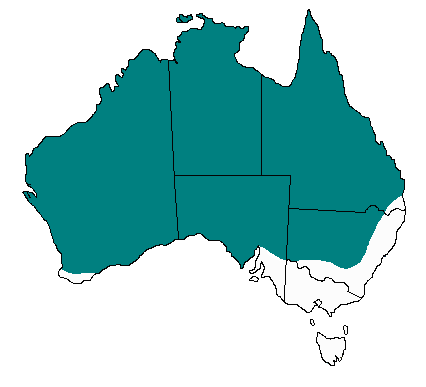 Pseudechis australis distribution
