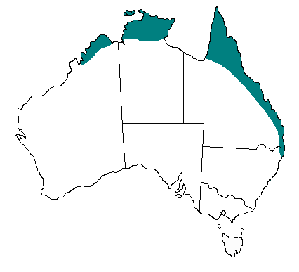 Oxyuranus scutellatus distribution